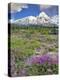 Washington State, Gifford Pinchot NF. Mount Saint Helens Landscape-Steve Terrill-Premier Image Canvas