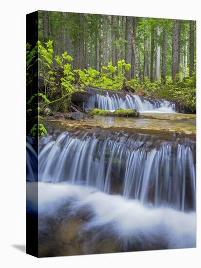 Washington State, Gifford Pinchot NF. Waterfall and Forest Scenic-Don Paulson-Premier Image Canvas