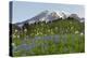 Washington State, Mount Rainier National Park, Mount Rainier and Wildflowers-Jamie & Judy Wild-Premier Image Canvas