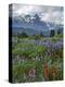 Washington State, Mount Rainier NP. Lupine and Paintbrush in Meadow-Steve Terrill-Premier Image Canvas