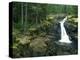 Washington State, Mt. Rainier National Park. Silver Falls Scenic-Jaynes Gallery-Premier Image Canvas