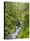 Washington State, Olympic National Park. Landscape with Sol Duc River-Jaynes Gallery-Premier Image Canvas