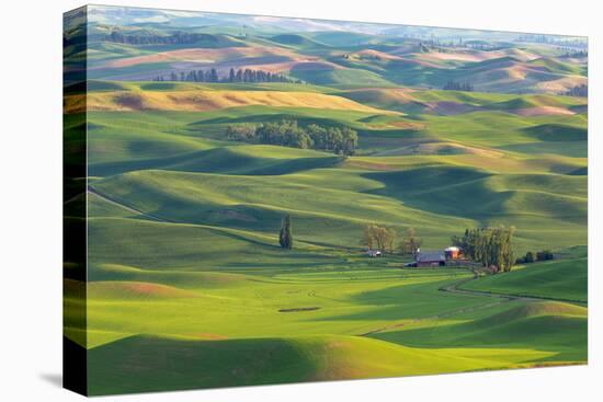 Washington State, Palouse Hills. Farmland Viewed from Steptoe Butte-Don Paulson-Premier Image Canvas