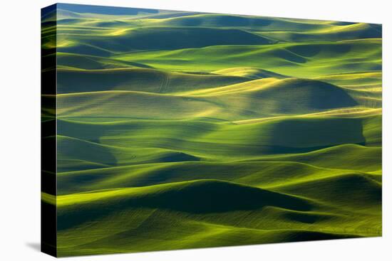 Washington State, Palouse Hills. Farmland Viewed from Steptoe Butte-Don Paulson-Premier Image Canvas