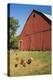 Washington State, Palouse, Whitman County. Pioneer Stock Farm, Chickens and Peacock in Barn Window-Alison Jones-Premier Image Canvas