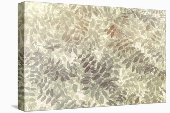 Washington State, San Juan Islands. Stylized Pattern of Vetch Leaves-Jaynes Gallery-Premier Image Canvas