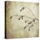 Washington State, Seabeck. Plum Tree Branch with Spring Buds-Jaynes Gallery-Premier Image Canvas