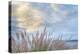 Washington State, Seabeck. Scenic of Pennisetum Ornamental Grasses-Don Paulson-Premier Image Canvas