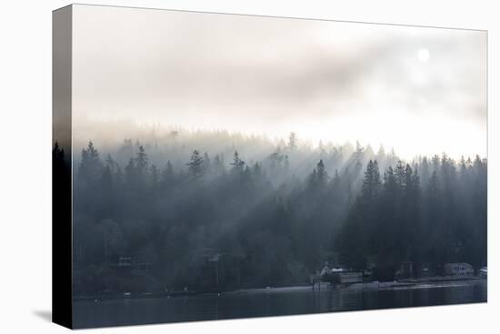 Washington State, Shafts of Morning Light Piercing Fog Make God Rays Through Trees-Trish Drury-Premier Image Canvas