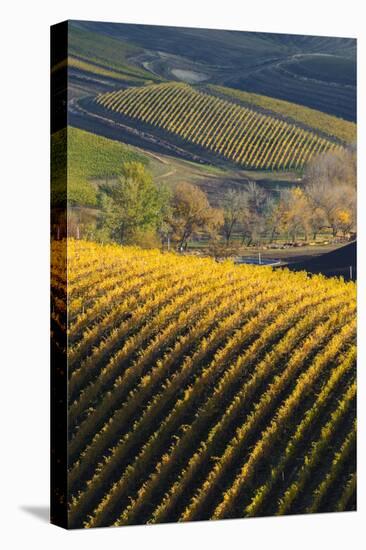 Washington State, Walla Walla. Spring Valley and Vineyards-Richard Duval-Premier Image Canvas