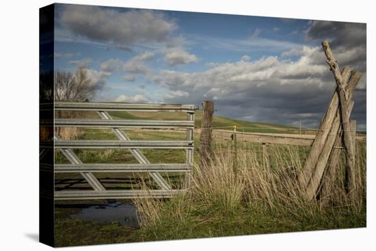 Washington State, Whitman County, Palouse, Lacrosse, Pioneer Stock Farm-Alison Jones-Premier Image Canvas