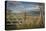 Washington State, Whitman County, Palouse, Lacrosse, Pioneer Stock Farm-Alison Jones-Premier Image Canvas