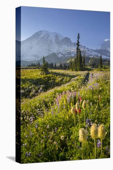 Washington, Subalpine Pasque Flower, Paintbrush and Lupine Wildflowers and Mt. Rainier-Gary Luhm-Premier Image Canvas