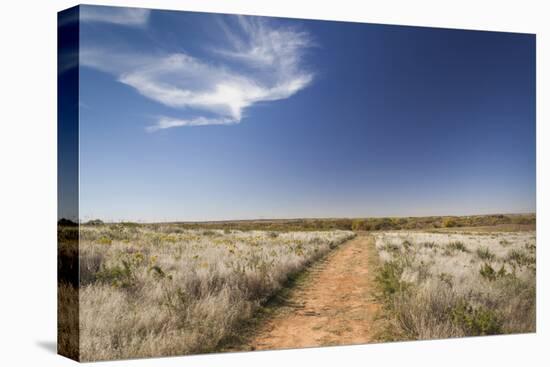 Washita Battlefield, Black Kettle National Grasslands, Oklahoma, USA-Walter Bibikow-Premier Image Canvas