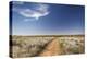 Washita Battlefield, Black Kettle National Grasslands, Oklahoma, USA-Walter Bibikow-Premier Image Canvas
