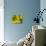 Wasp on a flower-Michael Scheufler-Premier Image Canvas displayed on a wall
