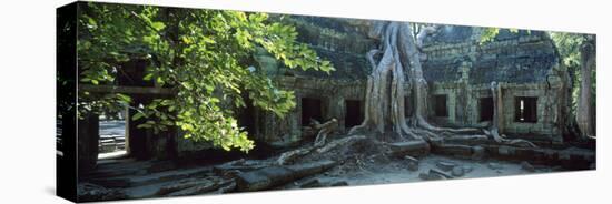 Wat Temple Complex of Ta-Prohm Cambodia-null-Stretched Canvas