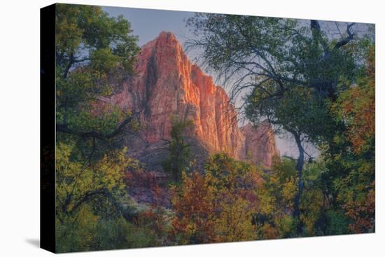 Watchman and Fall Frame, Zion Southwest Utah-Vincent James-Premier Image Canvas