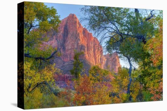 Watchman and Fall Frame-Vincent James-Premier Image Canvas