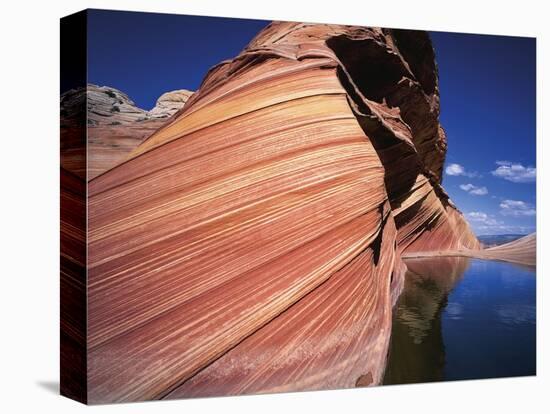 Water at Coyote Buttes-Jim Zuckerman-Premier Image Canvas
