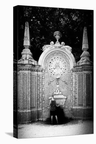 Water at Quinta da Regaleira-Guilherme Pontes-Premier Image Canvas