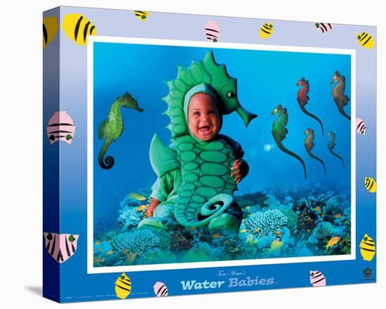 Water Babies, Seahorse-Tom Arma-Stretched Canvas