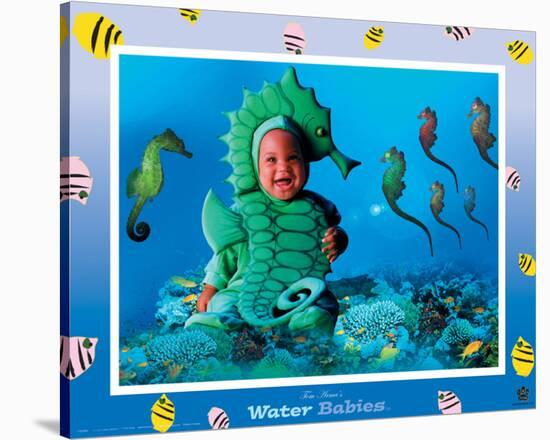 Water Babies, Seahorse-Tom Arma-Stretched Canvas