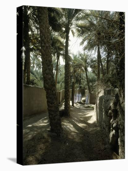 Water bailiffs at al-'Ain oasis-Werner Forman-Premier Image Canvas