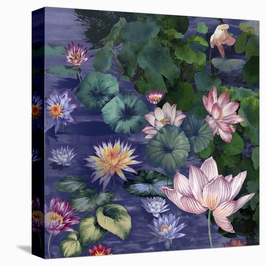 Water Blossoms-Bill Jackson-Premier Image Canvas