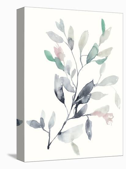 Water Branches II-Jennifer Goldberger-Stretched Canvas