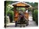 Water Buffalo Cart, Taketomi Island, Okinawa, Japan-Rob Tilley-Premier Image Canvas