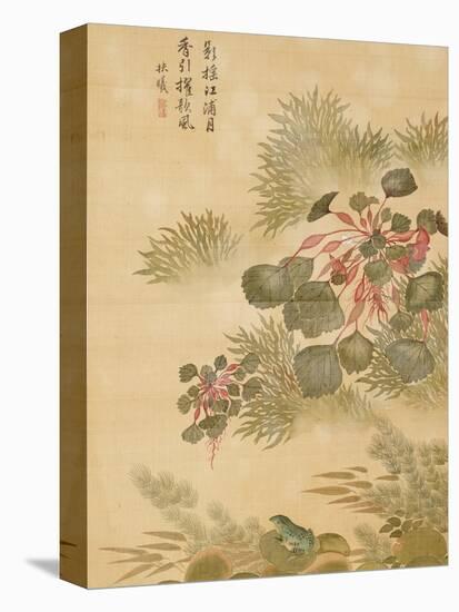 Water Caktrios and Frog-Ma Yuanyu-Premier Image Canvas