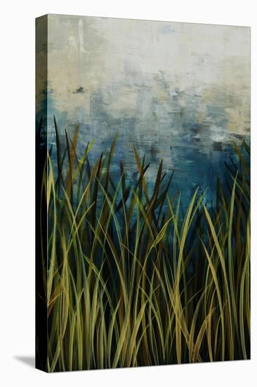 Water Course II-Kari Taylor-Premier Image Canvas