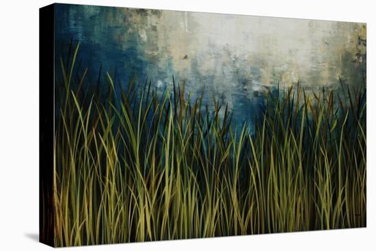 Water Course-Kari Taylor-Premier Image Canvas