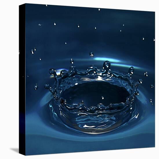 Water Drop Impact-Linda Wright-Premier Image Canvas