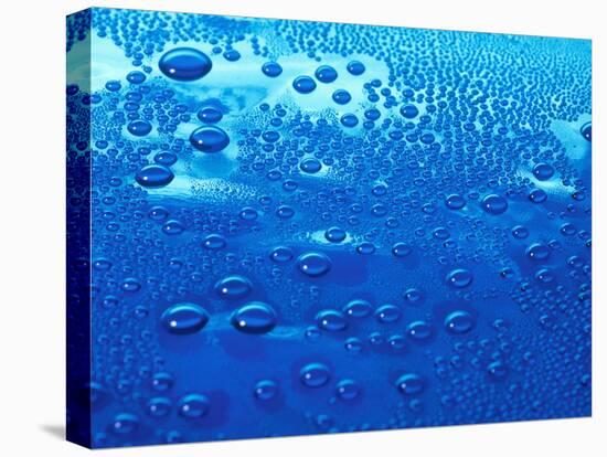 Water Droplets-Detlev Van Ravenswaay-Premier Image Canvas