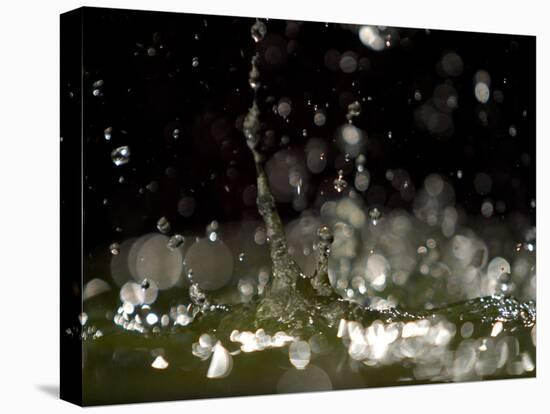 Water Drops Falling-null-Premier Image Canvas