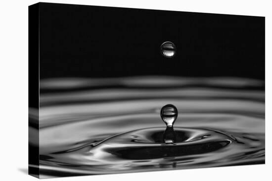 Water Drops-marosbauer-Premier Image Canvas