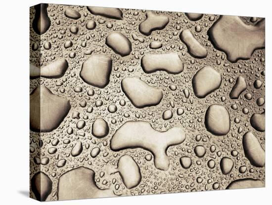 Water Drops-null-Premier Image Canvas