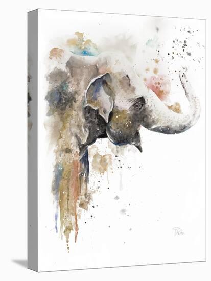 Water Elephant-Patricia Pinto-Stretched Canvas