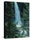 Water Falling Off Mountain at Helmcken Falls-null-Premier Image Canvas