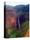 Water Falls of Mt.Waialeale, Kauai, Hawaii-George Oze-Premier Image Canvas