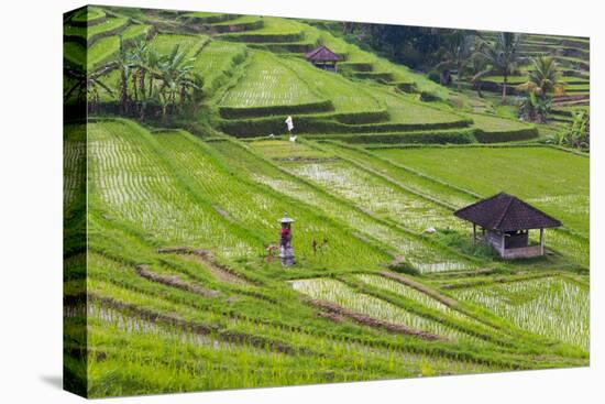 Water-Filled Rice Terraces, Bali Island, Indonesia-Keren Su-Premier Image Canvas