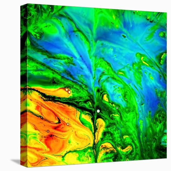 Water Garden-Ursula Abresch-Premier Image Canvas