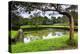 Water Gardens at Sigiriya Rock Fortress (Lion Rock)-Matthew Williams-Ellis-Premier Image Canvas