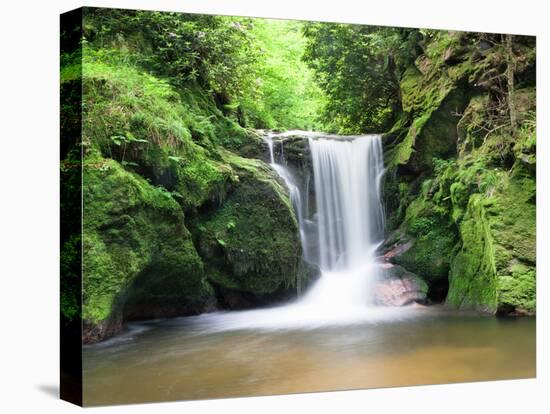 Water in a Forest, Geroldsau Waterfall, Black Forest, Baden-Wurttemberg, Germany-null-Premier Image Canvas