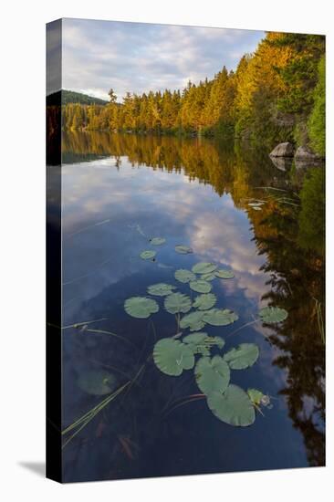 Water Lilies and Cloud Reflection on Lang Pond, Northern Forest, Maine-Jerry & Marcy Monkman-Premier Image Canvas