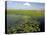 Water Lilies and Sawgrass in the Florida Everglades, Florida, USA-David R. Frazier-Premier Image Canvas