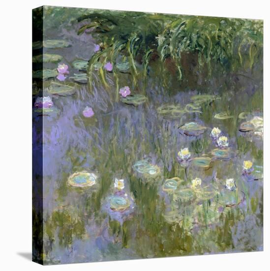 Water Lilies, C1915-Claude Monet-Premier Image Canvas