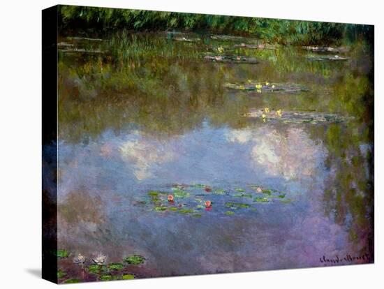 Water Lilies, the Cloud, 1903 (Oil on Canvas)-Claude Monet-Premier Image Canvas